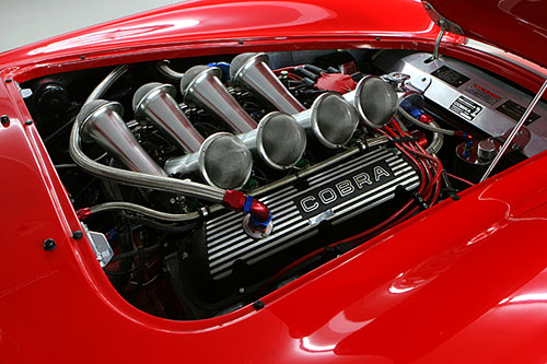 Robnell Cobra