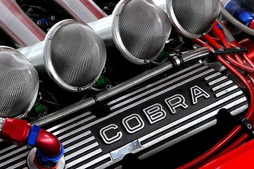 Robnell Cobra