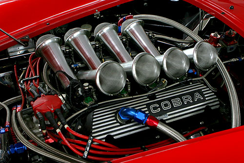 Robnell Cobra